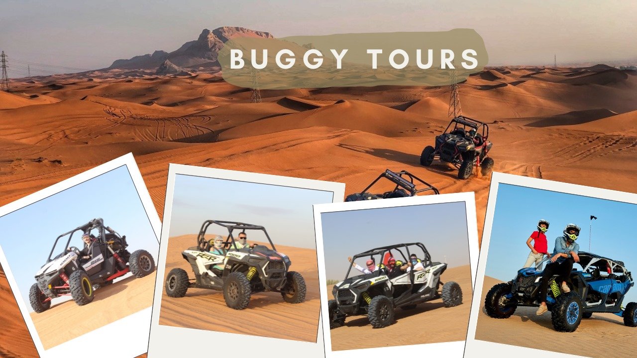 Buggy Safari
