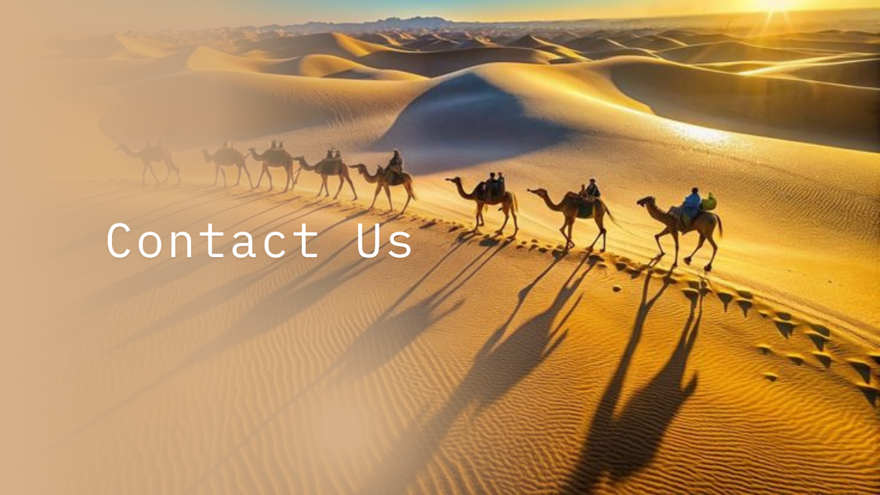 Contact us