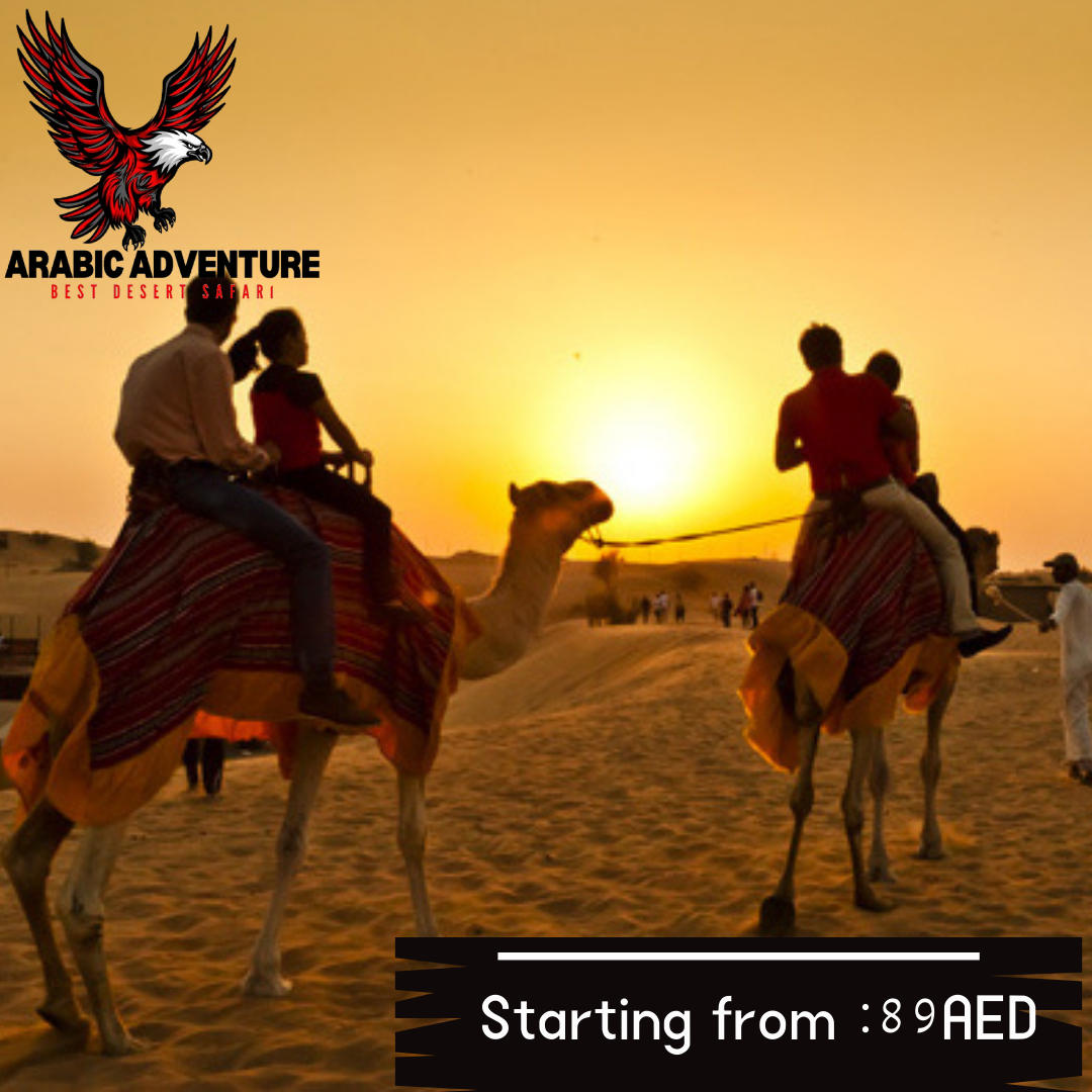 Evening Desert Safari