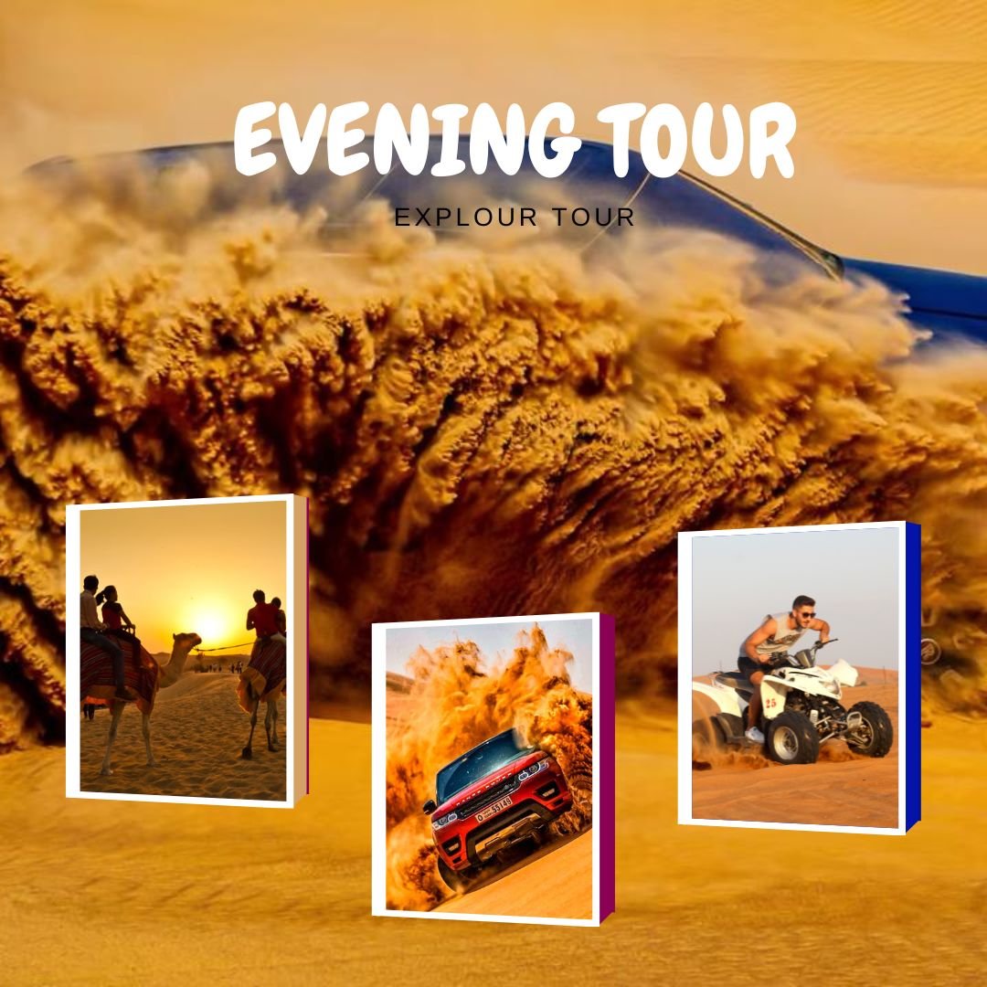Evening Safari
