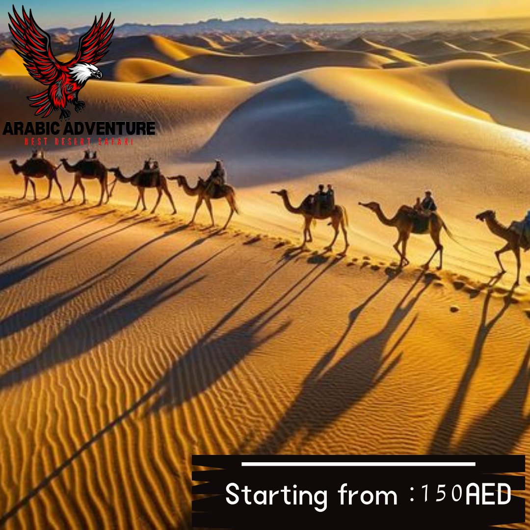 Morning desert safari