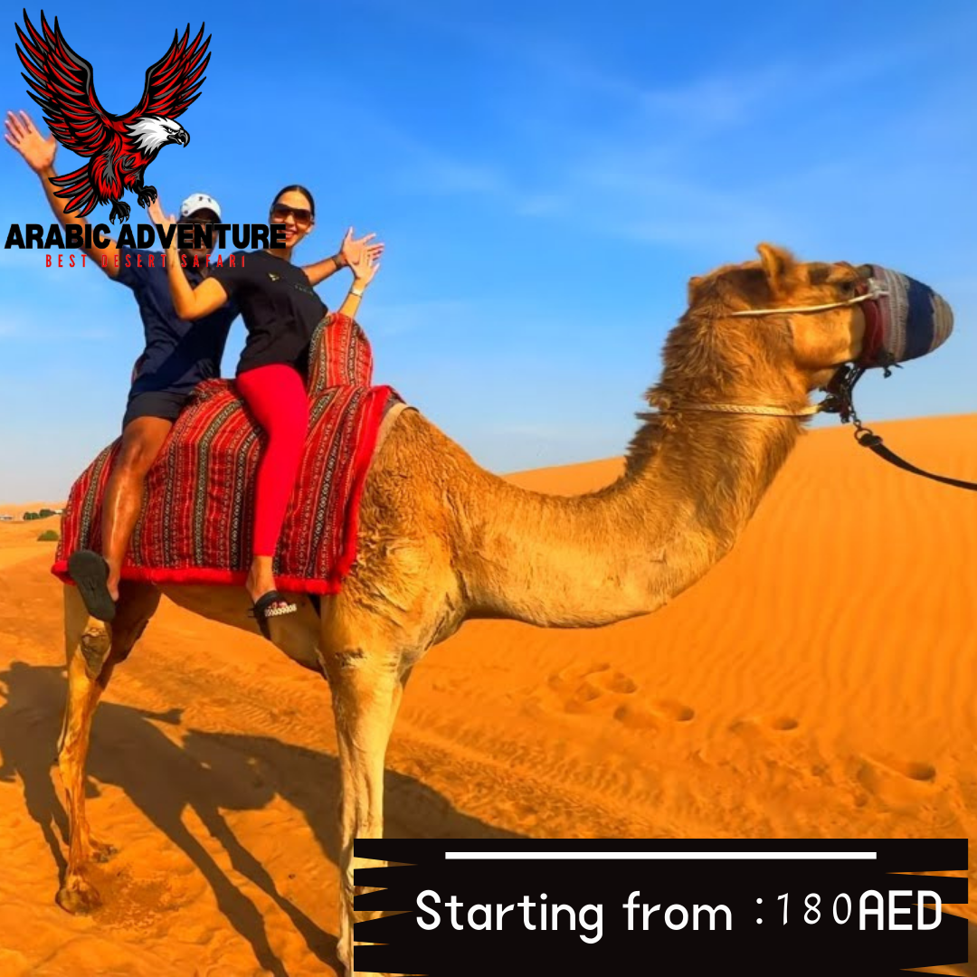 Morning + Camel Ride